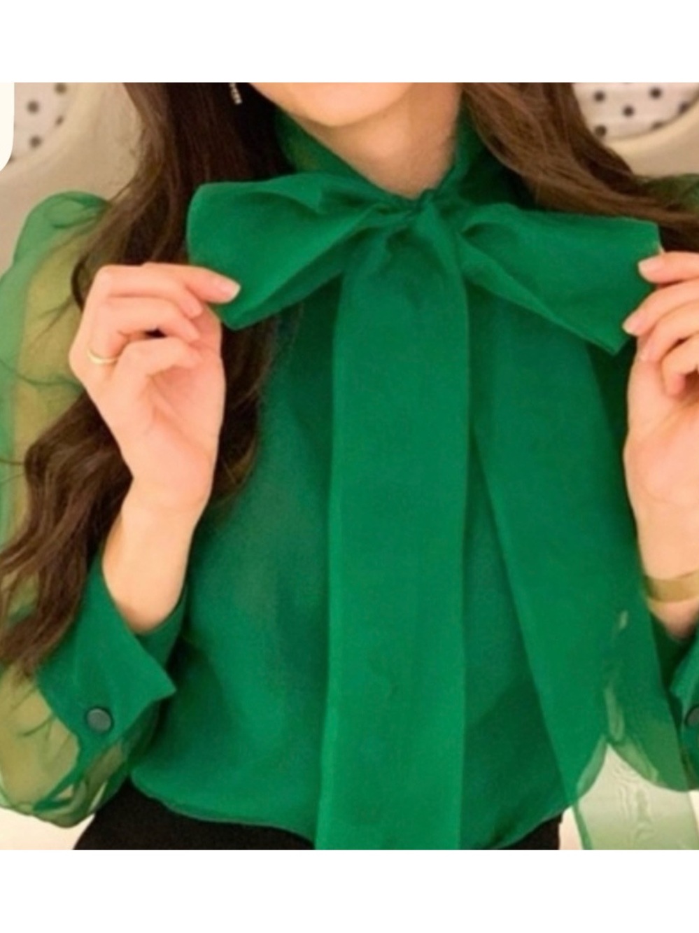 Zara organza  green blouse